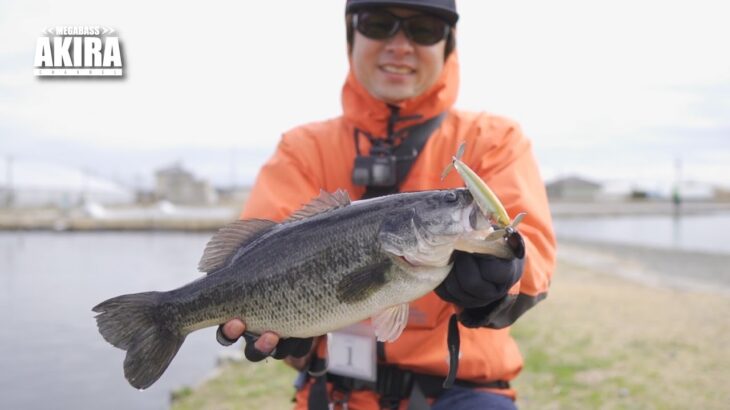 メガバスルアーで管釣りに挑む！【浜名湖フィッシングリゾート】