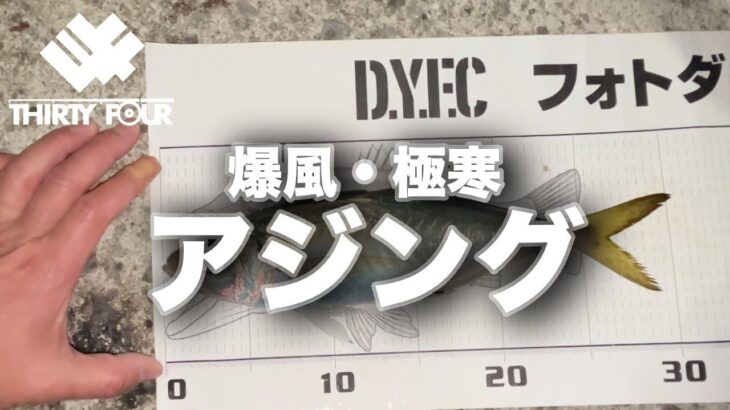 【アジング】爆風・極寒のアジングで尺アジ！