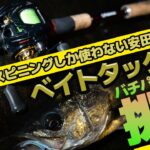 【実釣】時合の短いバチパターンで苦手なベイトタックルに挑戦するも案の定な結果になる…