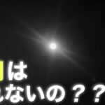 【アジング】初心者が調査してきました！満月の日に鯵は釣れるのか？？