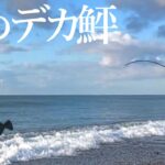 【サーフ】冬の海で小座布団ヒラメがヒット…！鮃に繋がった２つの目印とは【ルアー釣り】