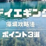 藻場を攻める釣リが出来るようになります