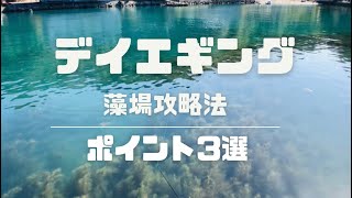 藻場を攻める釣リが出来るようになります