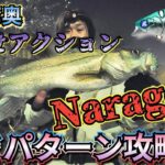 【アミパターン】をナレージで攻略!東京湾奥シーバス釣り！連発だ！