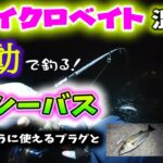 マイクロベイト混在！微動で釣る湾奥春シーバス！ – ワームのように使えるプラグとワーム編 – アミ ハクパターン