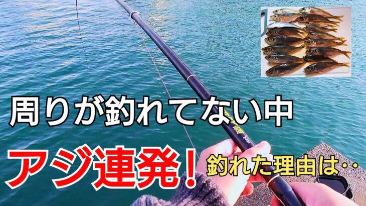 周りが釣れてない状況でアジが大連発!周りとの違いは?ポイント?竿の長さ?‥