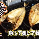 【アジング】極上のアジを釣って捌いて食べる！