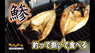 【アジング】極上のアジを釣って捌いて食べる！