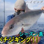 まだまだシーズン！これがカンパチを食わせるシャクリの方法、ハイピッチジャーク！！【ジギング】