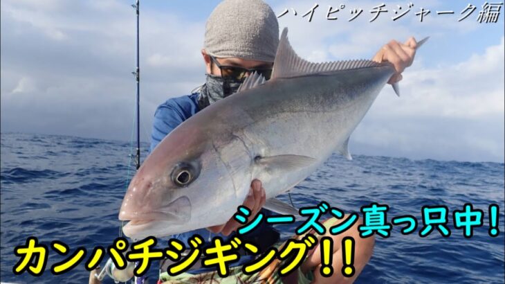 まだまだシーズン！これがカンパチを食わせるシャクリの方法、ハイピッチジャーク！！【ジギング】