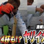 久々のヤリイカ釣り！１撃４杯など楽しめた！