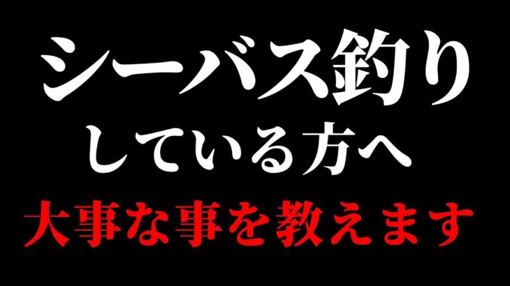 シーバス釣りをしている方、これから始める方へ。大事なことをお話しします。／リールの選び方,ギア比,ローギア,ハイギア（高画質化）【村田基 切り抜き】