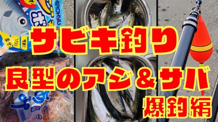 【サビキ釣り】船着き場で良型のアジとサバが爆釣