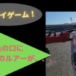 釣れた魚にあのルアーが！！内房河川デイゲーム！【ベイトシーバス】