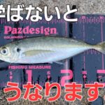 アジングで恐れていた事が！これ使ってる方は注意