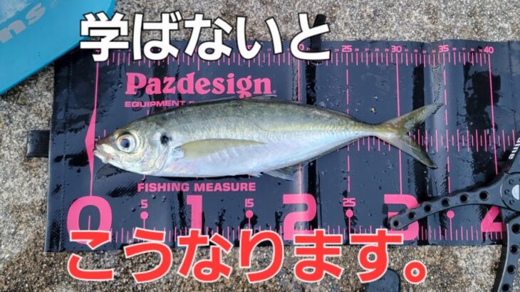 アジングで恐れていた事が！これ使ってる方は注意