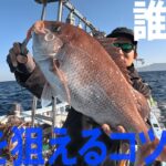 日本海で春の真鯛調査へ～！！！