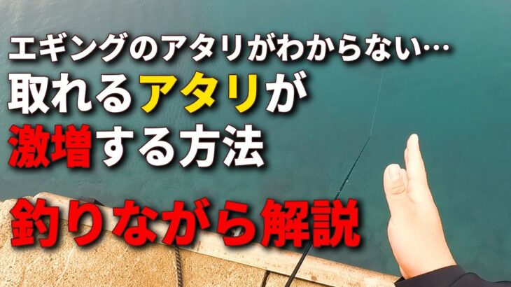 エギングで取れるアタリが劇的に増える超簡単な方法を、釣りながら解説します。