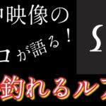 【シーバス】一番釣れるルアーを水中映像の専門家に聞いてみた！