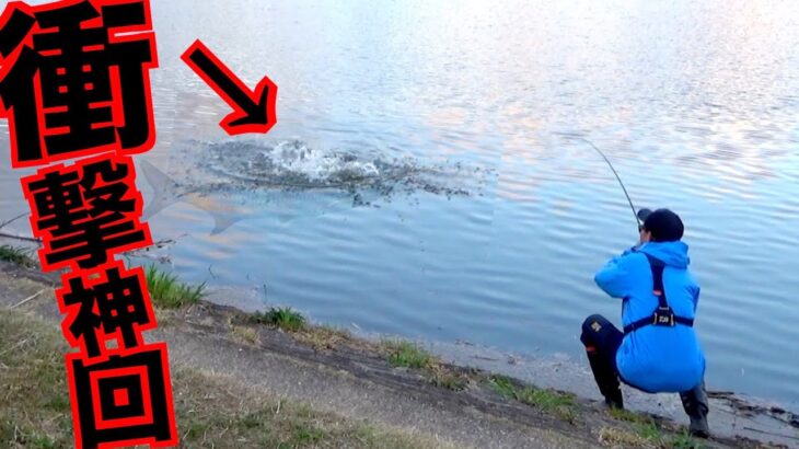 春のバス釣り陸っぱり釣り芸人が最高記録を叩き出した衝撃の神回コラボ！