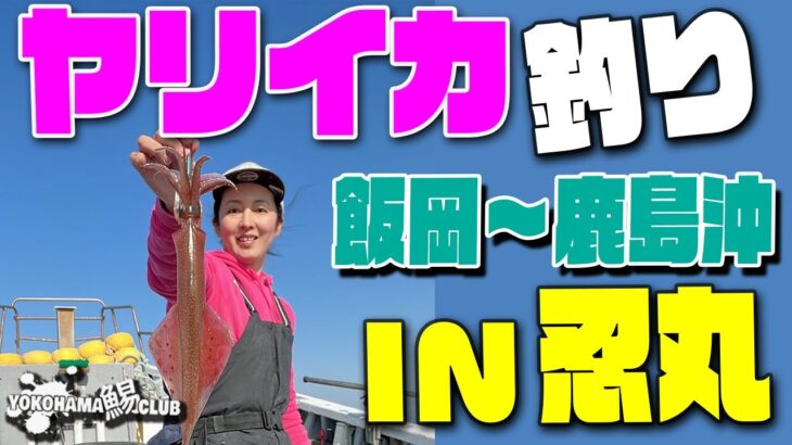 【飯岡のヤリイカ釣り】飯岡港 忍丸 さんでヤリイカ釣り