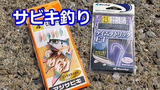 サビキ釣りシーズン開始？ カタクチイワシが接岸しだした！