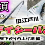 桜頃の旧江戸川デイシーバス！ – 昼下がりの上げ潮編 – マイクロベイト ハクパターン