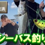 【シーバス釣り 】さぁシーバスの時期がやって来た！千葉県九十九里浜でシーバスを狙う