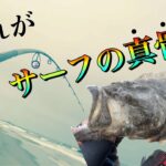 【遠州灘サーフ】待ち望んだ魚、釣れました