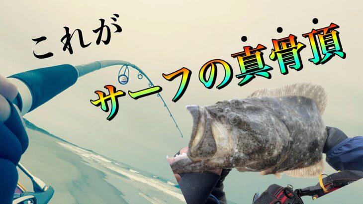 【遠州灘サーフ】待ち望んだ魚、釣れました