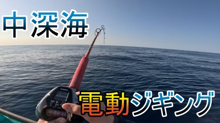 【中深海】豆南諸島の鳥島で電動ジギングしたら、過去一の大物が釣れた！