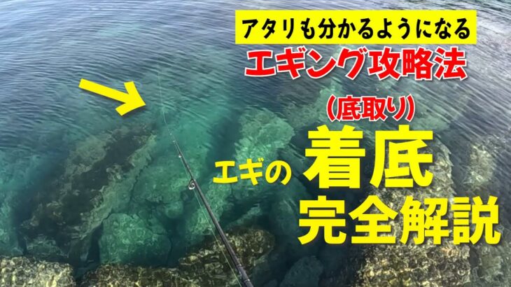 春イカエギング攻略！エギのボトム、着底の取り方！底取りの応用であたりも分かって釣果アップ