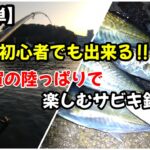 【サビキ釣り】アジ釣り初心者でもできる！横須賀の陸っぱりで楽しむサビキ釣り！