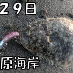 遠州灘サーフ　出勤前サーフでサクッとヒラメ釣って会社に行く方法