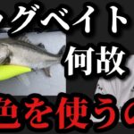 【村田基】シーバスのビッグベイトはなぜ皆んなイエローを使うのか？【村田基切り抜き】