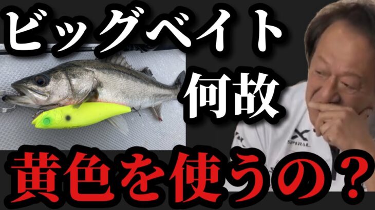 【村田基】シーバスのビッグベイトはなぜ皆んなイエローを使うのか？【村田基切り抜き】