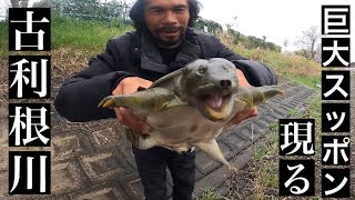 【バス釣り】箱の中身はなんだろな⁉︎バス釣りしてたら巨大モンスター現る！【スッポン】