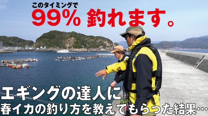 春イカ釣れん…となる前に。春のエギングはとにかく●●が超重要。達人の読みに衝撃を受けた件。