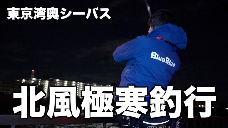 【シーバス】東京湾奥 北風爆風の上潮シーバス釣行