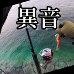 エギングキャンプ！！後編　山口県萩大島日本海のイカ釣り！真冬の２日