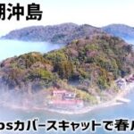 【バス釣り】初上陸！琵琶湖・沖島でおかっぱり「デプス カバースキャットで春バスを狙え」【琵琶湖北湖】