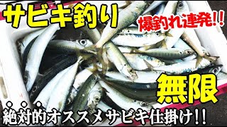 足下にサビキを垂らしたら回遊魚が入れ食いで無限に釣れた！絶対的にオススメできる最強のサビキ仕掛けで５目達成【爆釣れ必須！】⇒丸干しの作り方