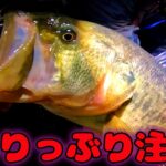 【バス釣り】 今が激アツ!!夜の琵琶湖北山田ブラックバス”攻略法”教えます。