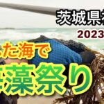 【茨城県神栖サーフ】大荒れのサーフでヒラメを狙ってみたら海の豊かさを感じました