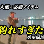 たった一つのアイテムで爆釣！同僚の釣りが凄すぎた…【愛知県・碧南緑地】