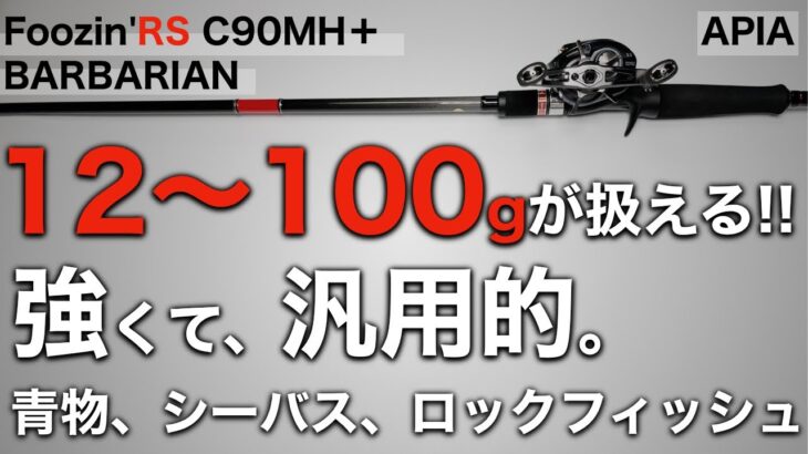 【ベイトシーバス】強さ、長さ、張り。すべてが丁度良いヘビーバーサタイルに使えるシーバスロッドをレビュー。