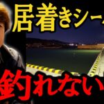 漁港・水門居着きシーバスの攻略はどうすればいいのか！？　村岡昌憲【切り抜き】