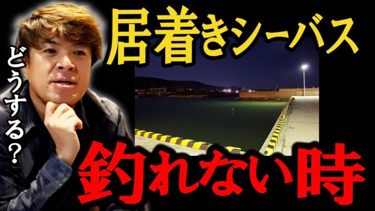 漁港・水門居着きシーバスの攻略はどうすればいいのか！？　村岡昌憲【切り抜き】