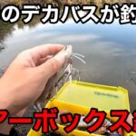 ココ最近デカバスを釣ったルアーや春に効くルアーの紹介をします。