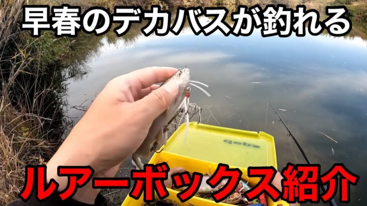 ココ最近デカバスを釣ったルアーや春に効くルアーの紹介をします。